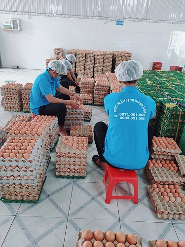 Trứng gà - Thực Phẩm Tươi Sống - Công Ty TNHH MTV Nông Lâm Sản Thành Nam